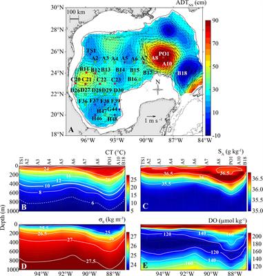 Nitracentric/Hydrographic Classification and Prediction of Nitrate Profiles for Oceanographic Stations Under the Influence of Mesoscale Eddies in the Gulf of Mexico